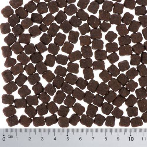Wild Freedom Kitten ,,Wide Country", drób 2 kg - Wild Freedom