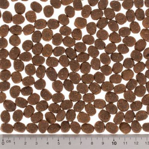 Wild Freedom Adult "Golden Valley", królik 3 x 2 kg - Wild Freedom