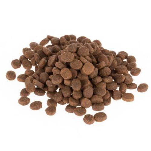 Wild Freedom Kitten "Cold River", łosoś 400 g - Wild Freedom