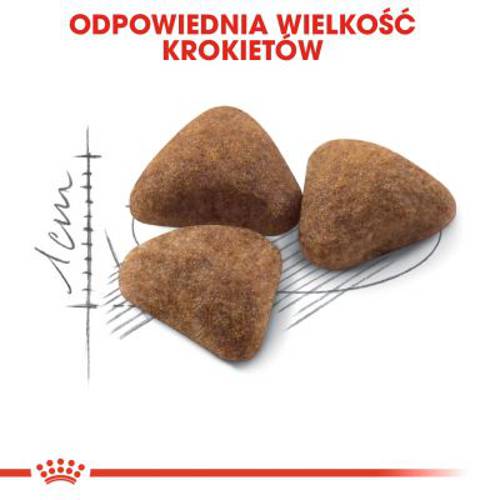 Royal Canin Indoor 27 400 g - Royal Canin