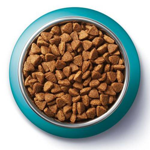 Purina ONE Coat & Hairball 1,5 kg - Purina