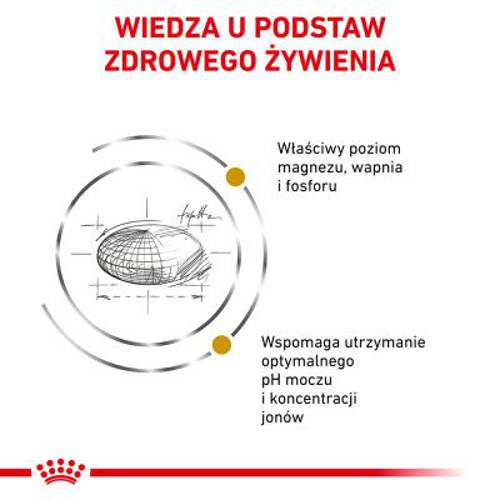 Royal Canin Veterinary Feline Urinary S/O 9 kg - Royal Canin Veterinary Diet