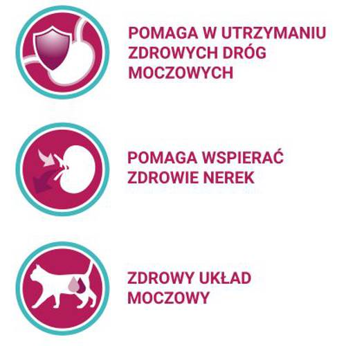 Purina ONE Urinary Care 2 x 1,5 kg - Purina