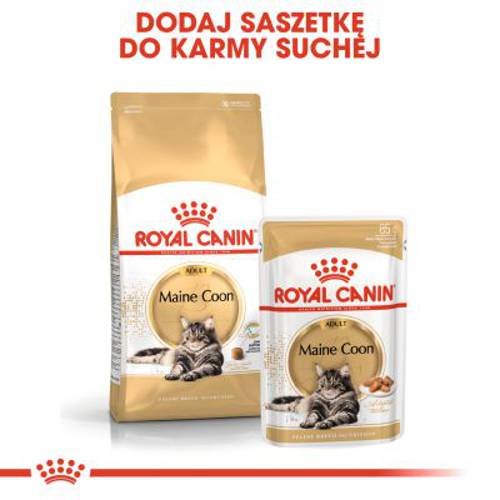 Royal Canin Breed Maine Coon Adult 2 kg - Royal Canin