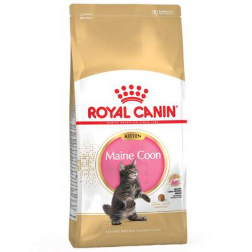 Royal Canin Maine Coon Kitten 10 kg - Royal Canin