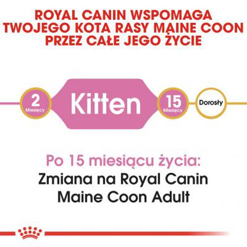 Royal Canin Maine Coon Kitten 10 kg - Royal Canin