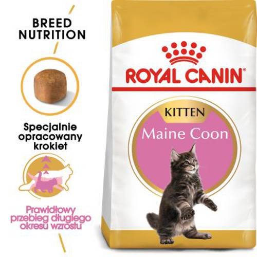 Royal Canin Maine Coon Kitten 10 kg - Royal Canin