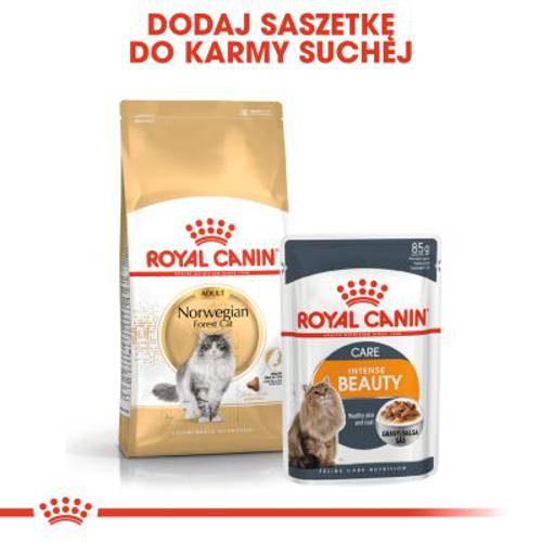 Royal Canin Norwegian Forest Cat Adult 2 kg - Royal Canin
