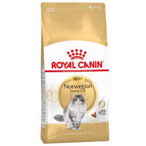 Royal Canin Norwegian Forest Cat Adult 2 kg - Royal Canin