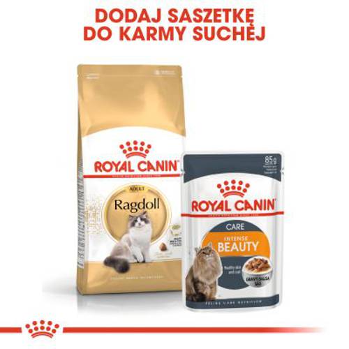 Royal Canin Breed Ragdoll Adult 2 kg - Royal Canin