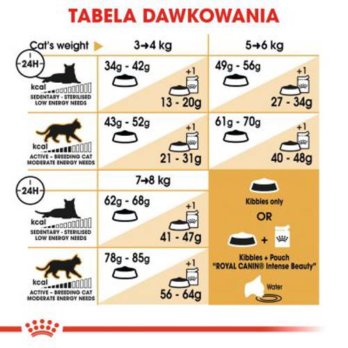 Royal Canin Breed Ragdoll Adult 2 kg -