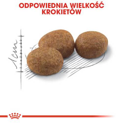Royal Canin Sterilised 37 4 kg - Royal Canin