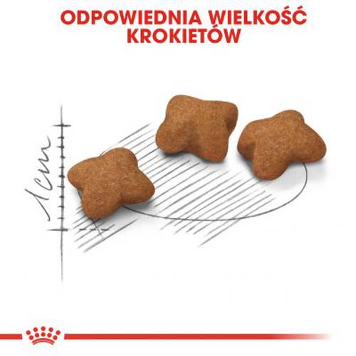 Royal Canin Kitten Sterilised 3,5 kg - Royal Canin