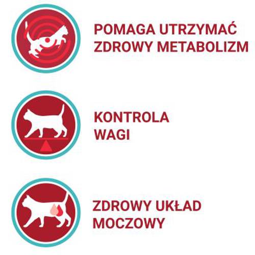Purina ONE Sterilcat z wołowiną 800 g - Purina
