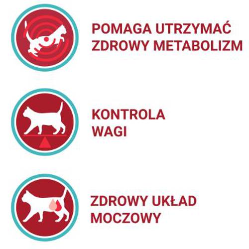 Purina ONE Sterilcat z kurczakiem 2 x 6 kg - Purina