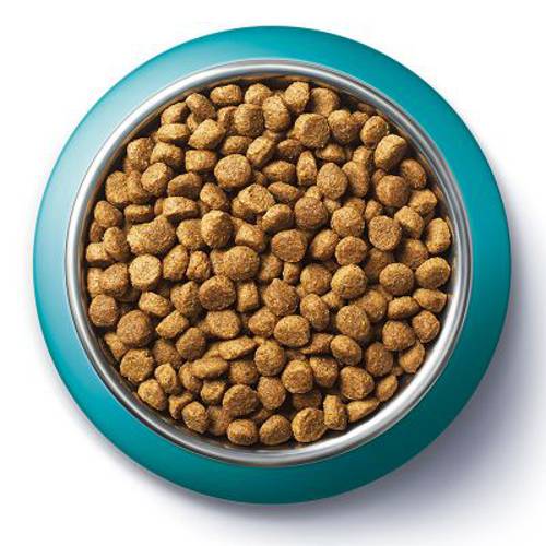 Purina ONE Sterilcat z kurczakiem 2 x 6 kg - Purina