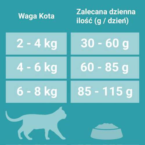 Purina ONE Sterilcat z łososiem 800 g - Purina