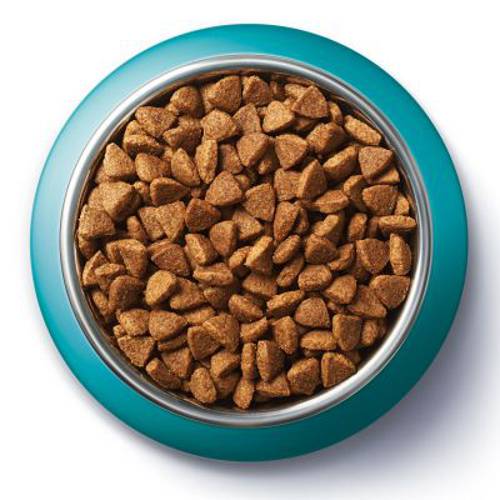 Purina ONE Sterilcat z łososiem 800 g - Purina