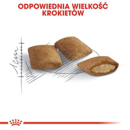 Royal Canin Ageing 12+ 2 kg - Royal Canin