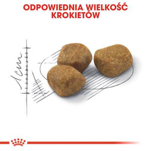Royal Canin Indoor 7+ 1,5 kg - Royal Canin