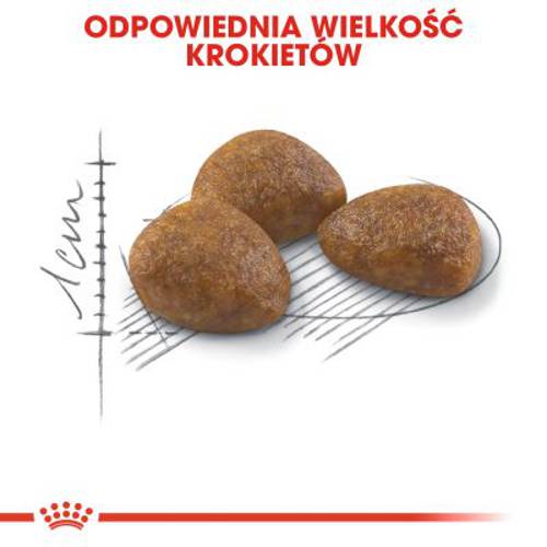 Royal Canin Outdoor 7+ 10 kg - Royal Canin