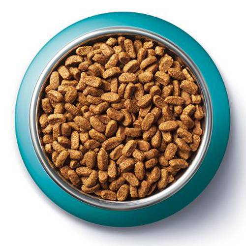 Purina ONE Senior 7+ 800 g - Purina