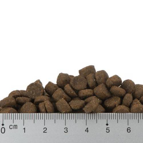 Feringa Kitten dla kociąt, drób 2 x 6 kg - Feringa Kot