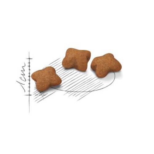 Royal Canin Kitten 2 x 10 kg -