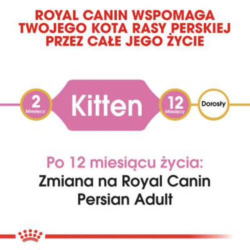 Royal Canin Persian Kitten 4 kg - Royal Canin