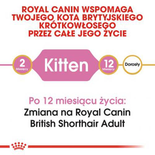 Royal Canin British Shorthair Kitten 2 kg -