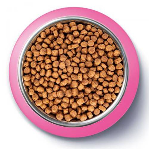 Purina ONE Junior 800 g - Purina