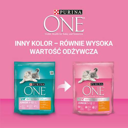 Purina ONE Junior 800 g - Purina