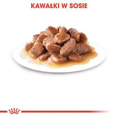 Royal Canin Urinary Care w sosie 12 x 85 g - Royal Canin