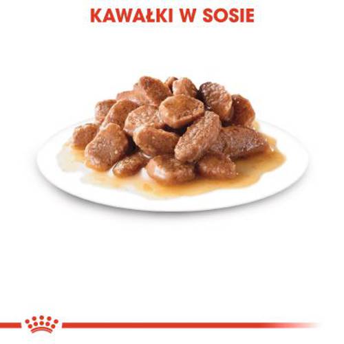 Royal Canin Ageing +12 w sosie 12 x 85 g - Royal Canin