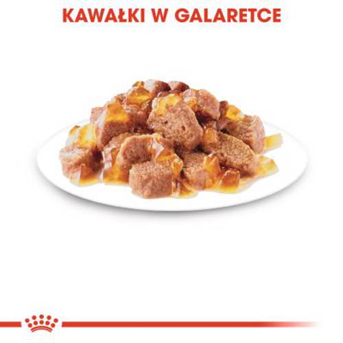 Royal Canin Ageing +12 w galarecie 12 x 85 g - Royal Canin