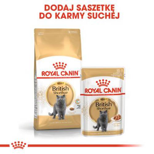Royal Canin Breed British Shorthair Adult w sosie 12 x 85 g - Royal Canin