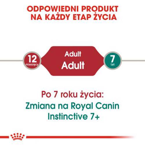 Royal Canin Instinctive Loaf Mousse 24 x 85 g - Royal Canin