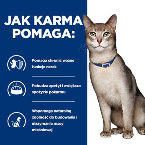 Hill's Prescription Diet Feline k/d Kidney Care Łosoś, 24 x 85 g - Hills