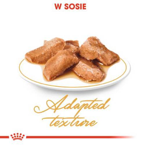 Royal Canin Breed Maine Coon Adult w sosie 12 x 85 g - Royal Canin