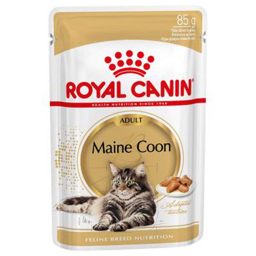 Royal Canin Breed Maine Coon Adult w sosie 12 x 85 g - Royal Canin
