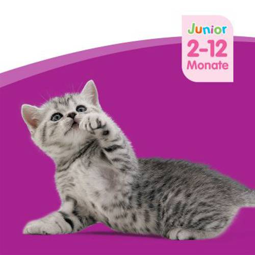 Whiskas Junior w saszetkach, 12 x 100 g Ryba w galarecie - Whiskas
