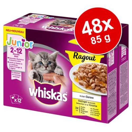 Megapakiet Whiskas Junior Potrawka w saszetkach, 48 x 85 g Wybór dań drobiowych w galarecie - Whiskas