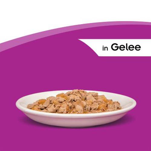 Megapakiet Whiskas Junior Potrawka w saszetkach, 48 x 85 g Wybór dań drobiowych w galarecie - Whiskas