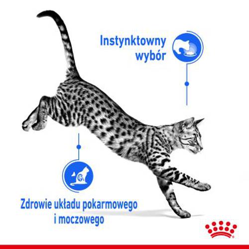 Royal Canin Indoor Sterilised w sosie 12 x 85 g - Royal Canin