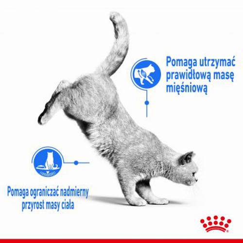 Royal Canin Light Weight Care w galarecie 24 x 85 g - Royal Canin