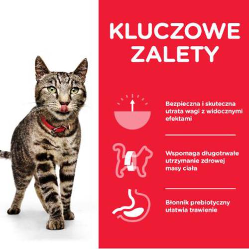 Hill's Science Plan Adult Perfect Weight, 12 x 85 g Kurczak i łosoś - Hills