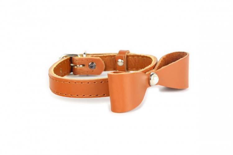 Obroża Skóra z kokardą – Brązowa 0412 14MM 34CM 23-31CM - matteo-company