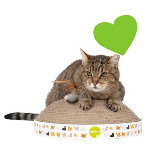 zoolove Kopiec drapak dla kota Ø x wys.: 31 x 11 cm - Zooplus