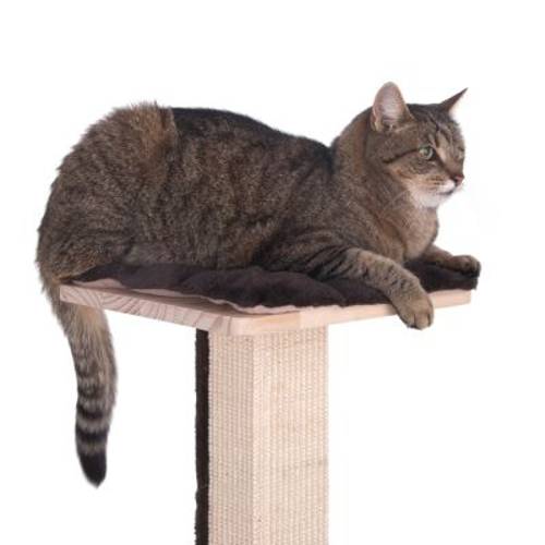 Kitty's Playhouse drapak dla kota  Kremowy - Zooplus Selection