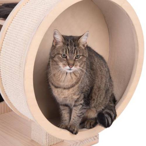 Kitty's Playhouse drapak dla kota  Kremowy - Zooplus Selection